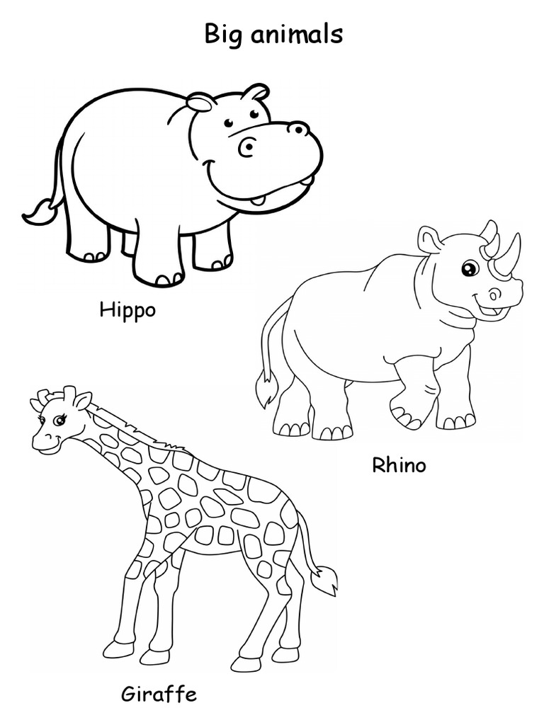 Big and Small Animals | PDF