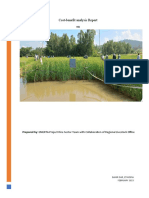 CB Analaysis Report On Rice and Fish Integration Farm Practices
