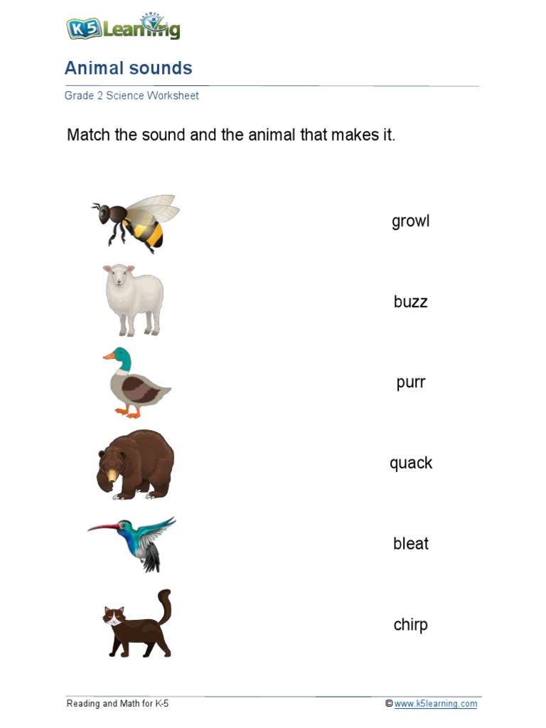 Grade 2 Animal Sounds A | PDF