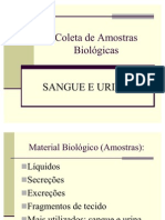 Bioquimica.do Sangue Seminario de Pratica - Coleta