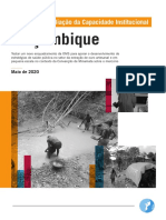 ASGM Mozambique ICA Report 11052020 - PT v2-1