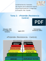 Tema 2 Priramide de Resistencia y Control.