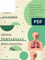 Sistem pernapasan pada manusia