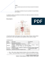 Resumo - Ciências Naturais 9º Ano - Unidade 2 - Sistema Digestivo, Sangue e Sistema Cardiovascular