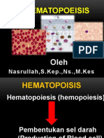 HEMATOPOISIS - pptx-1