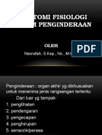 Sistem Penginderaan (Mata) - 1