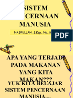 Presentasi Sistem Pencernaan Manusia 1