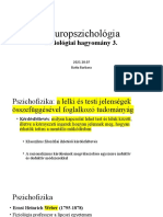 Neuropszichológia Fiziologiai Hagyomany2