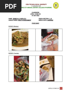 food diary