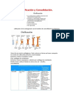 YO - Osificación y Consolidación