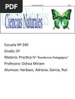 SEC de C.N para Imprimir