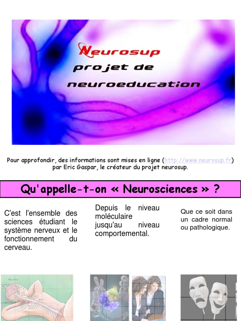 Neurosciences et Méthodes d'Apprentissage | PDF | Neuroscience | Cerveau