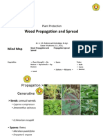 Weed Prpopagation and Spread