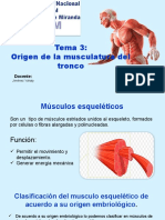 Diapositivas Tema 3