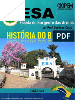 Histã Ria Do Brasil Esa