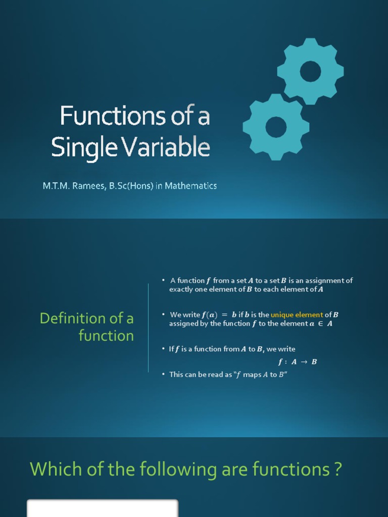 Functions Of A Single Variable PDF Function Mathematics Derivative