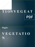 Vegetation Cover