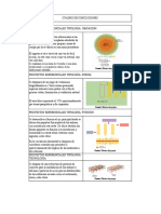 Tipologia 3