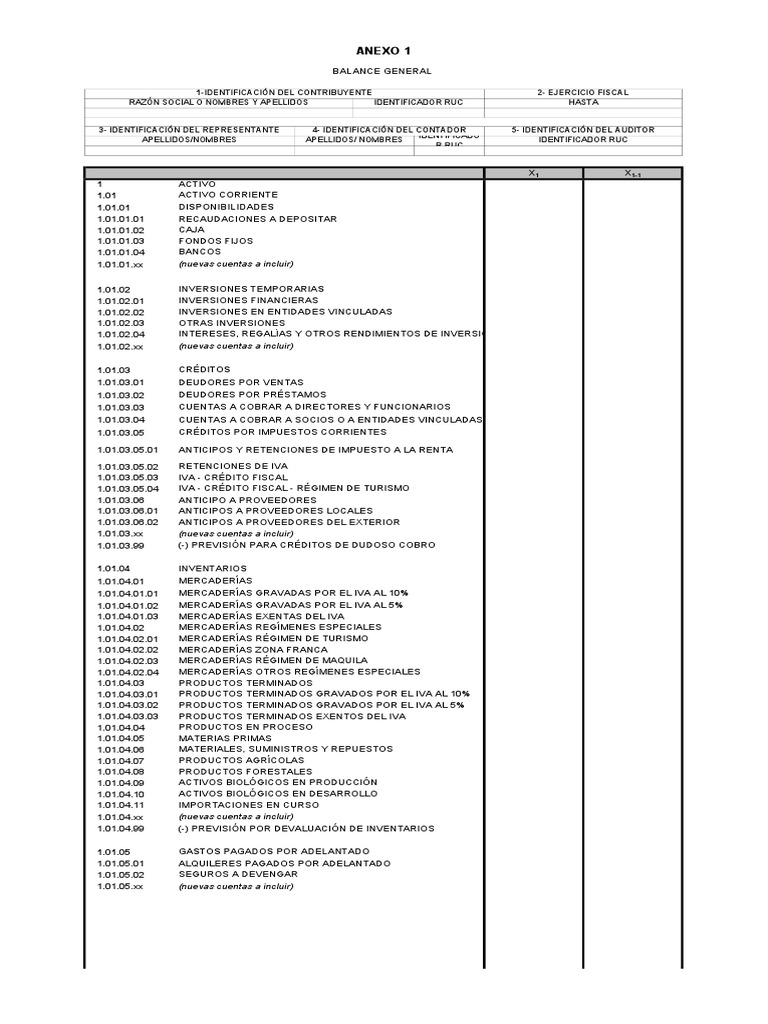 Balance General 2023 | PDF | Contabilidad | Impuestos