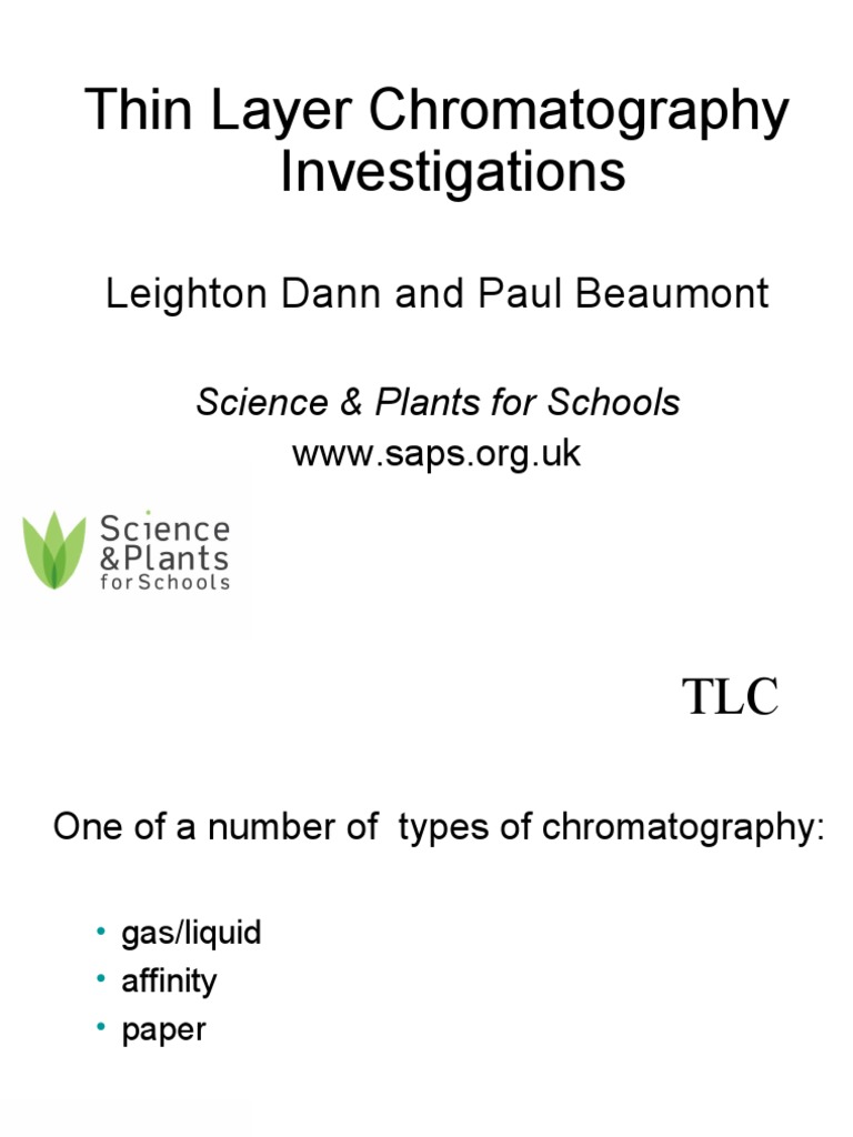 SAPS TLC Sheet 10 Investigations PDF