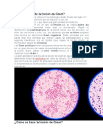 Pruebas Bacteriologicas