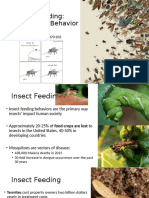 Insect Feeding Mechanisms