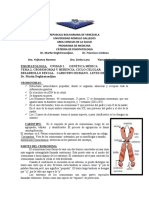 Cromosomas y herencia genética: estructura, cariotipo y anomalías