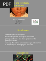 Primary and Secondary Skin Lesions - IJ