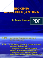 Biokimia Biomarker Jantung2