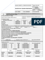 Reportes de Tinte Penetrante 09-04-12