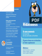 Diptico Hidatidosis