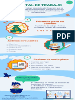 InfografiaCT - Analilia Caballero