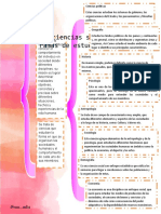 Mapa Conceptual 1