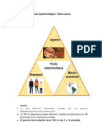 Gomez Casanova Nimbe Anahi - Triada Epidemiológica