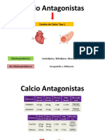 Calcio Antagonistas