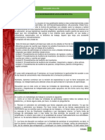 Encuadre Agenda Simplificada Auditoria A Estados Financieros Aplicación