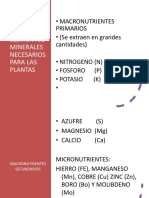 Minerales Necesarios para Las Plantas