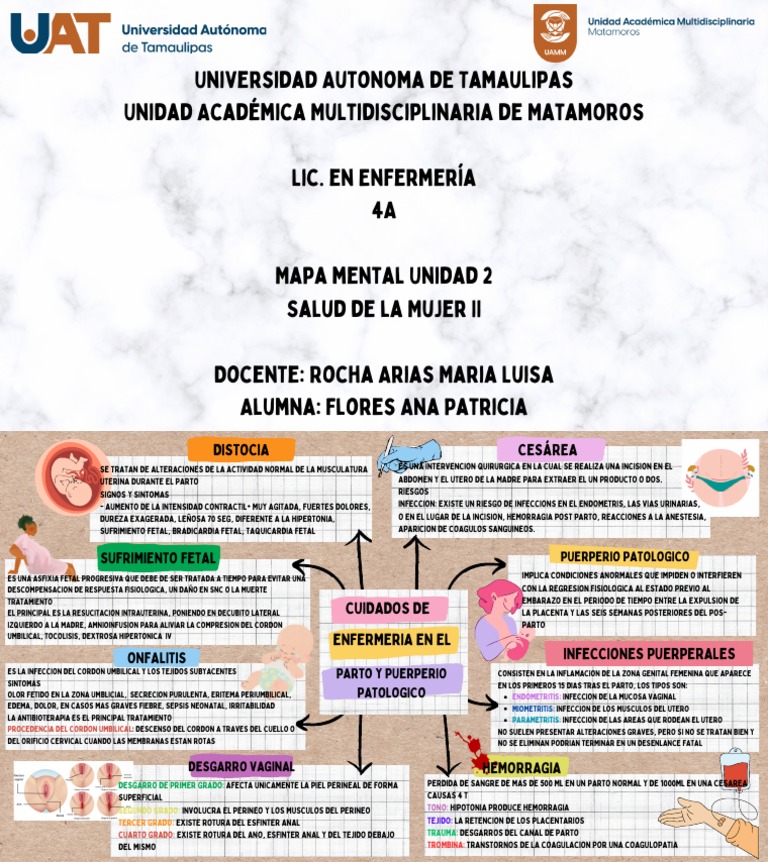 Mapa Mental del Puerperio Patológico | PDF | Parto | Periodo posparto