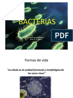 Bacterias