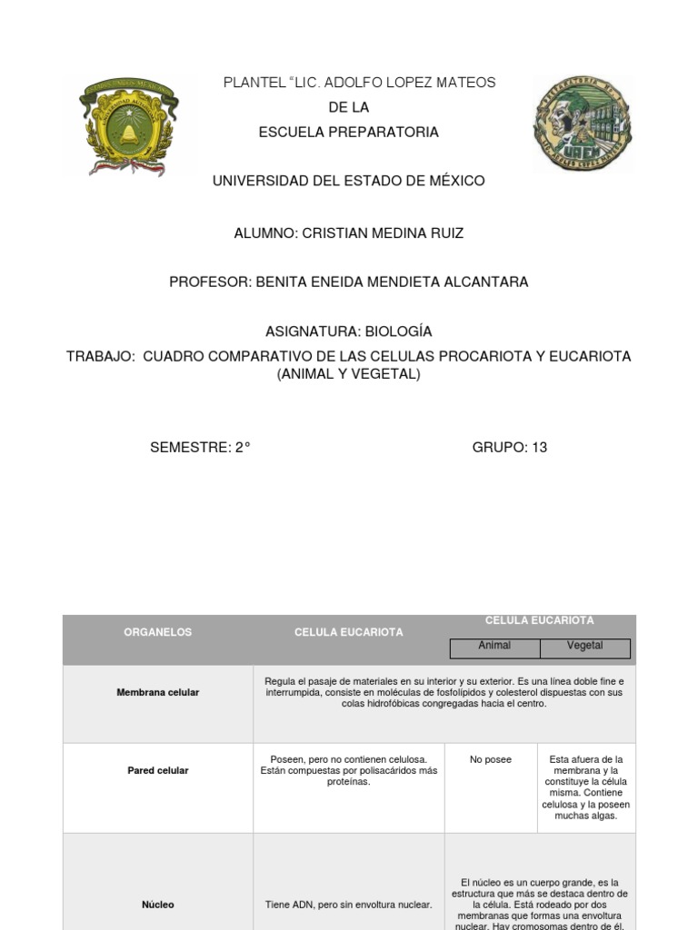 Comparativa de Células Eucariotas y Procariotas | PDF | Biología ...