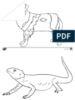 T T 926 Pets Colouring Sheets - Ver - 12