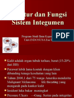 Struktur Dan Fungsi Sistem Integumen