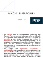 TEMA 18 Micosis Superficiales y Cutaneas