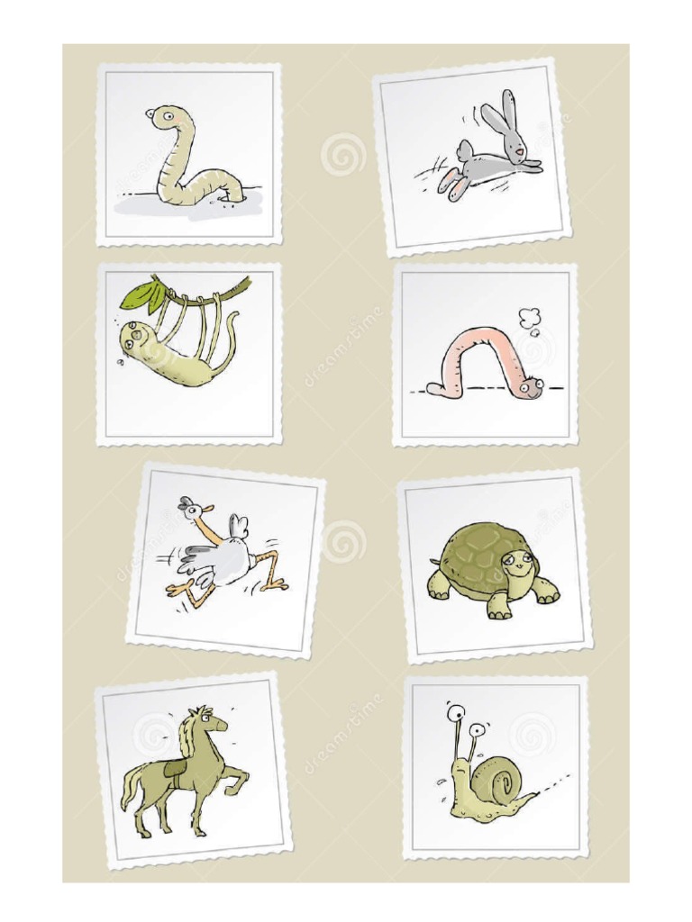 Animales Lentos y Rápidos | PDF