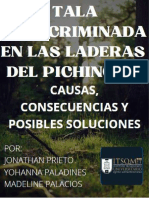 Proyecto