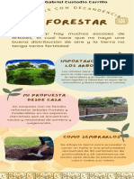 Infografia Reforestacion-Angel G Custodio Carrillo