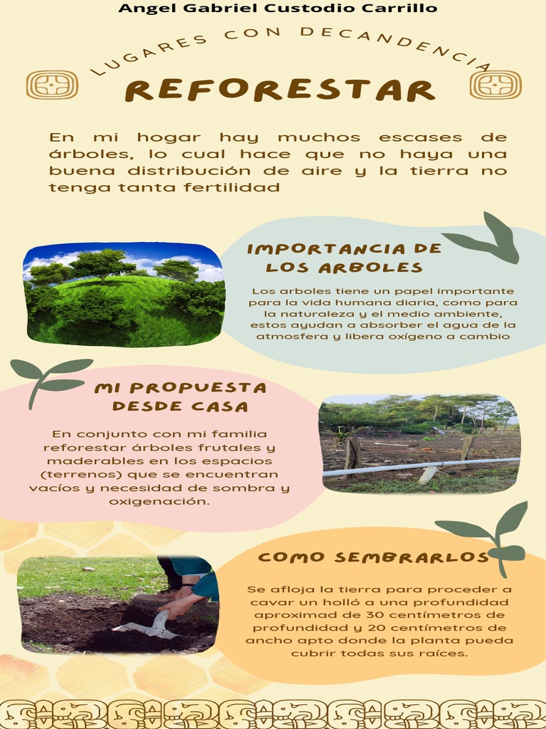 Infografia Reforestacion-Angel G Custodio Carrillo | PDF