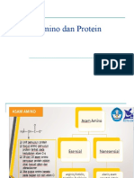 Asam Amino Dan Protein (Minggu 6-7)