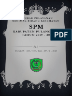 SPM Dinkes Tahun 2019-2023