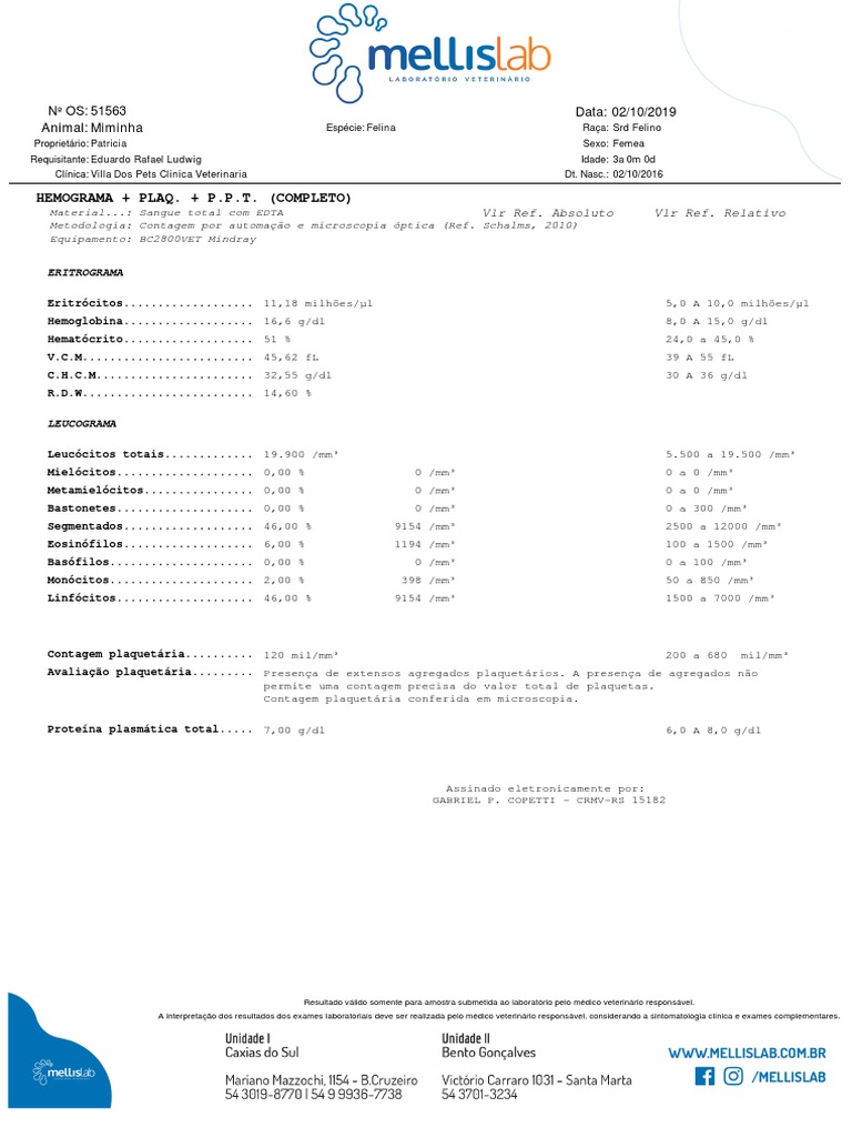 Resultado de exames laboratoriais de hemograma completo, bioquímica hepática e contagem de